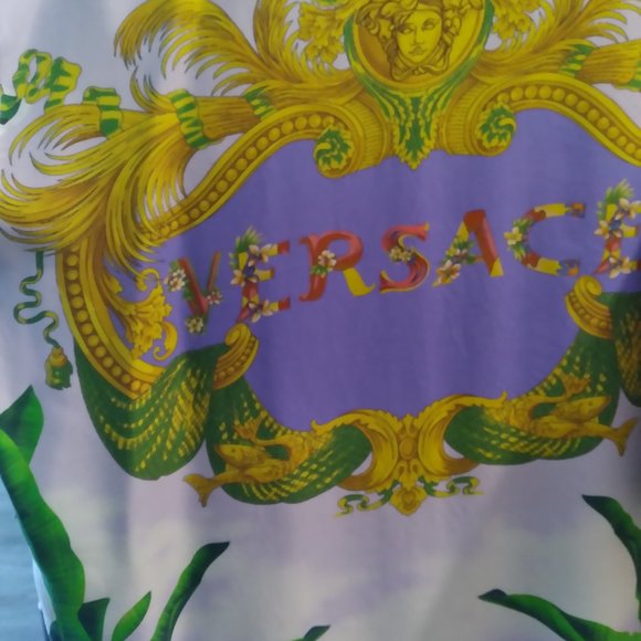 Versace Silk Dress with Belt - Picture 4 of 14